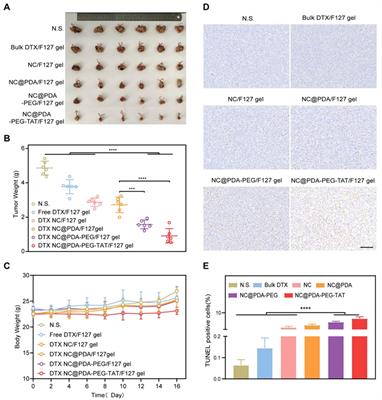 (Nano)biotechnological approaches in the treatment of cervical cancer: integration of engineering and biology